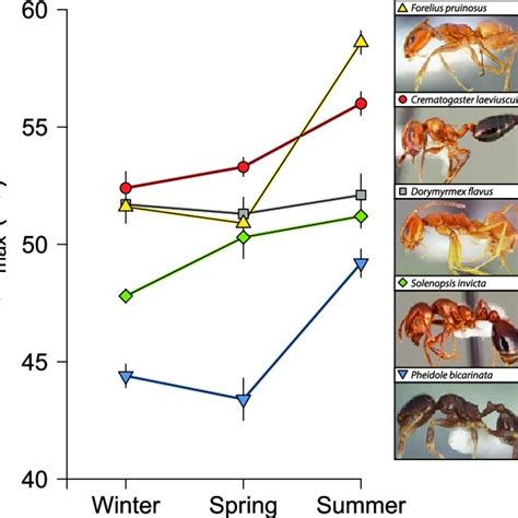 are ants attracted to heat|Ant Thermal Tolerance: A Review of Methods, .